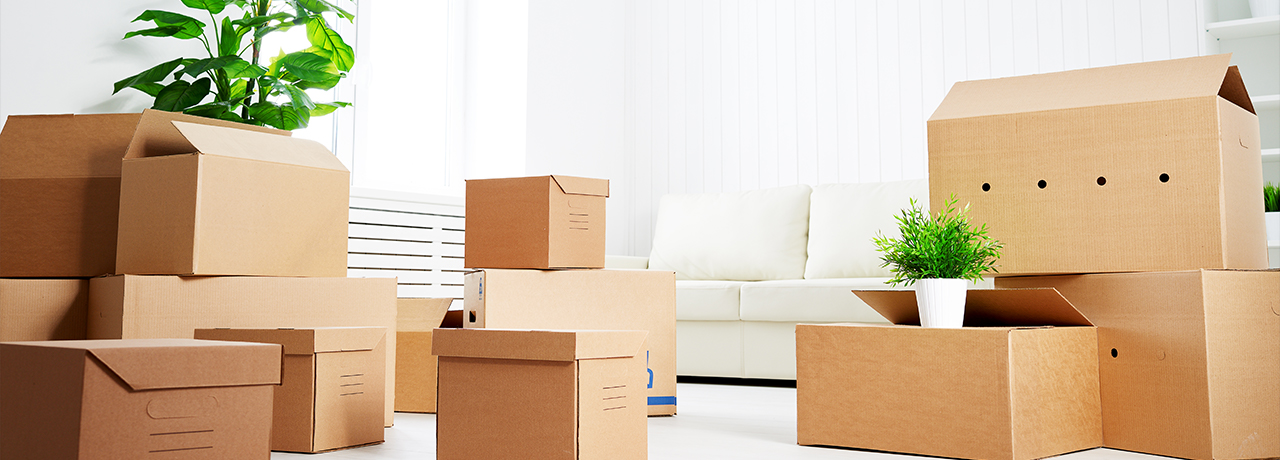 Move in